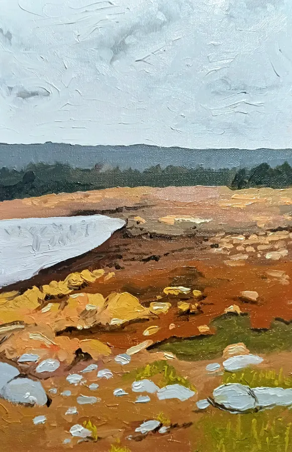 Oderteich im Harz #2, Öl auf Karton, 2025